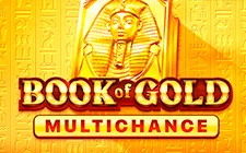 La slot machine Book of Gold Multichance